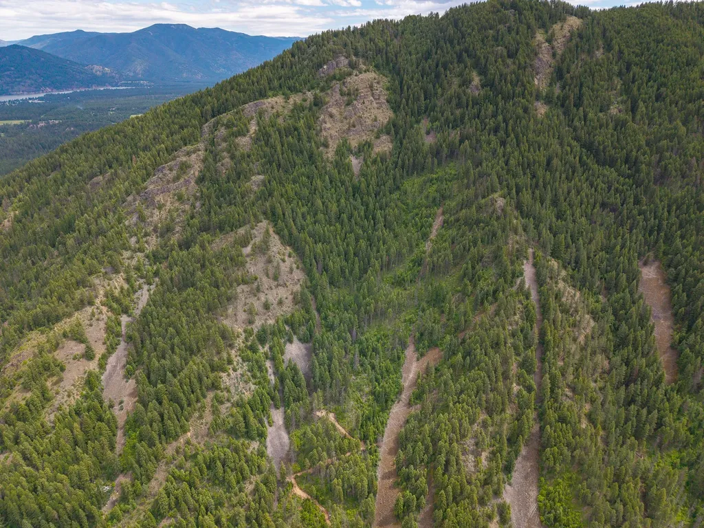 Nhn Hope Valley Road Trout Creek MT 59874