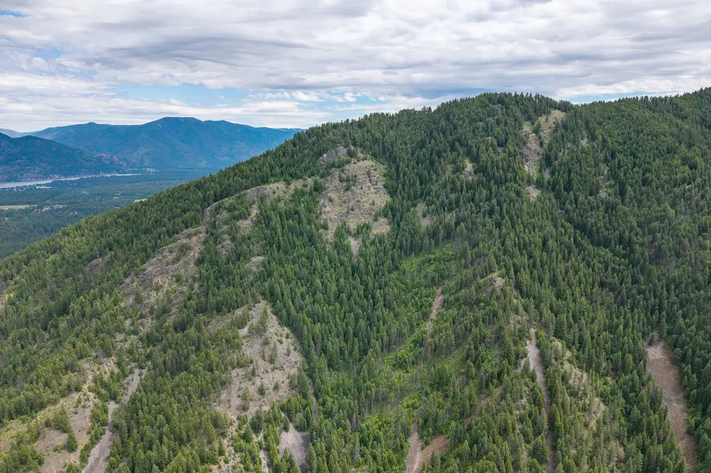 Nhn Hope Valley Road Trout Creek MT 59874