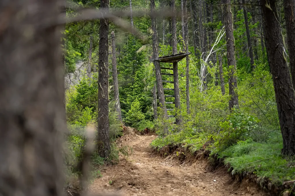 Nhn Hope Valley Road Trout Creek MT 59874