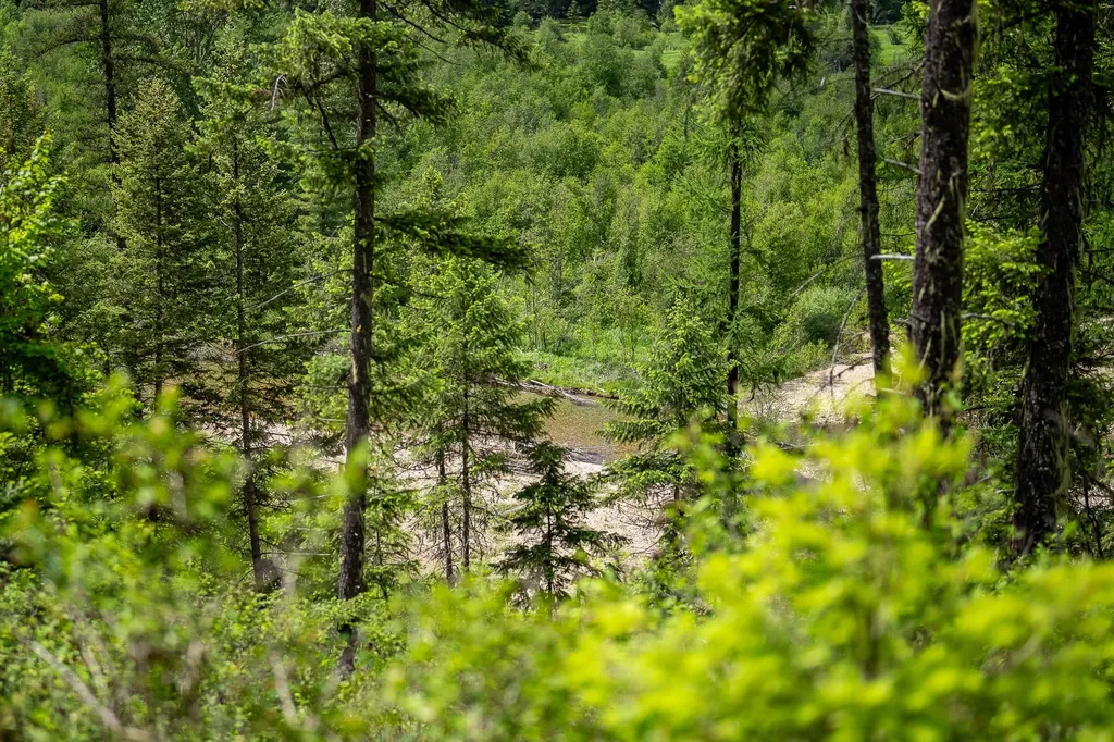 Nhn Hope Valley Road Trout Creek MT 59874