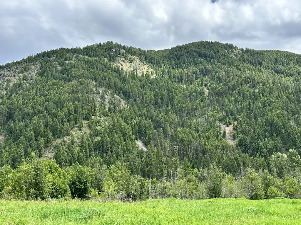Nhn Hope Valley Road Trout Creek MT 59874