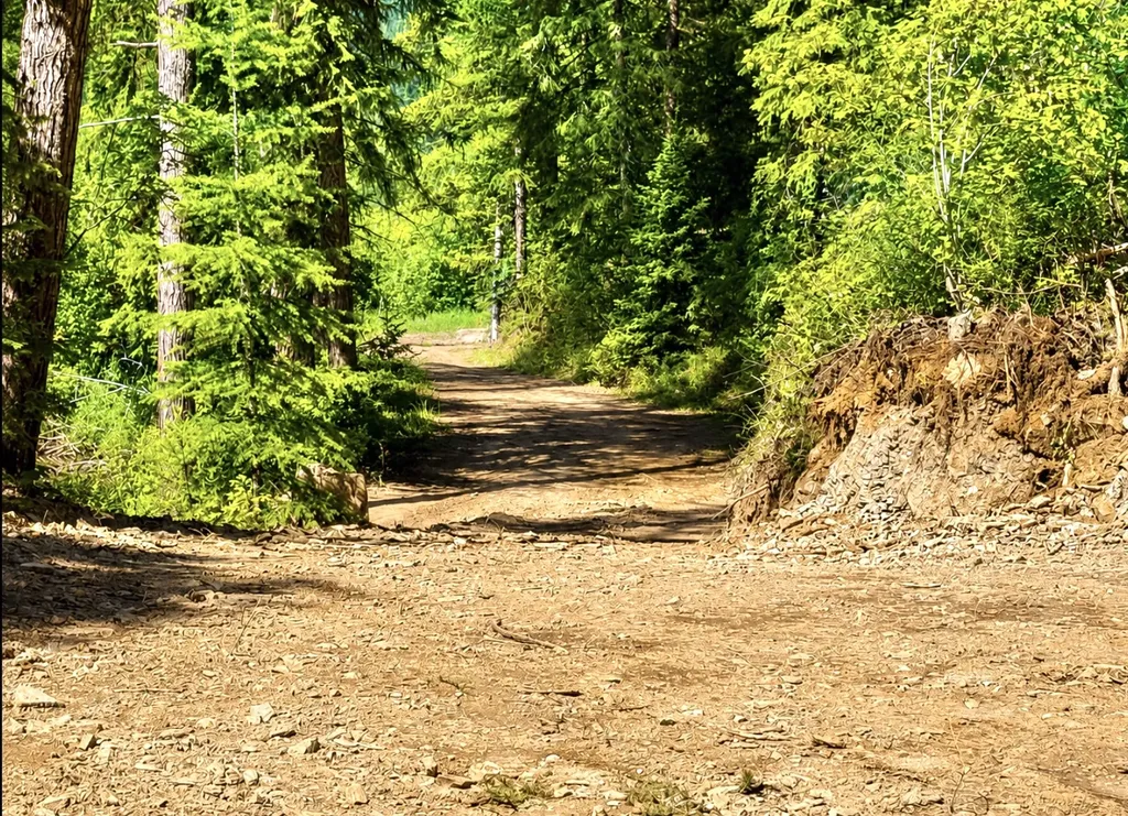 Nhn Hope Valley Road Trout Creek MT 59874
