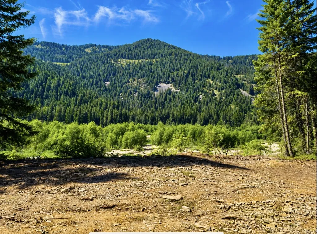 Nhn Hope Valley Road Trout Creek MT 59874