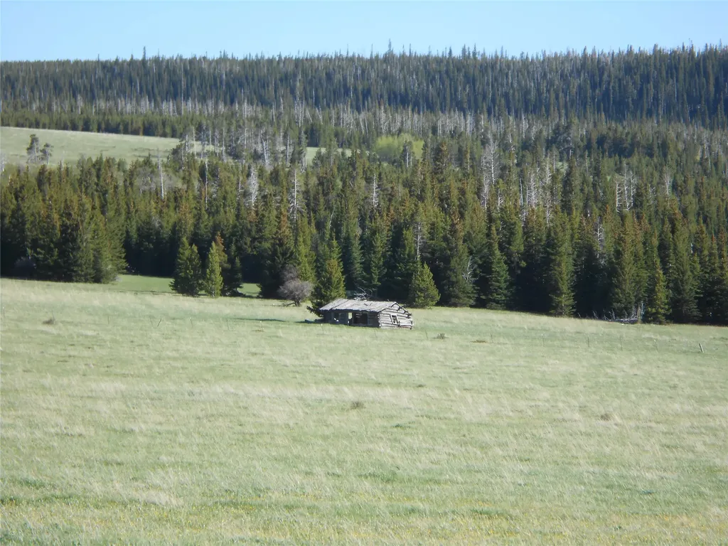 704 Belt Park Road Monarch MT 59463