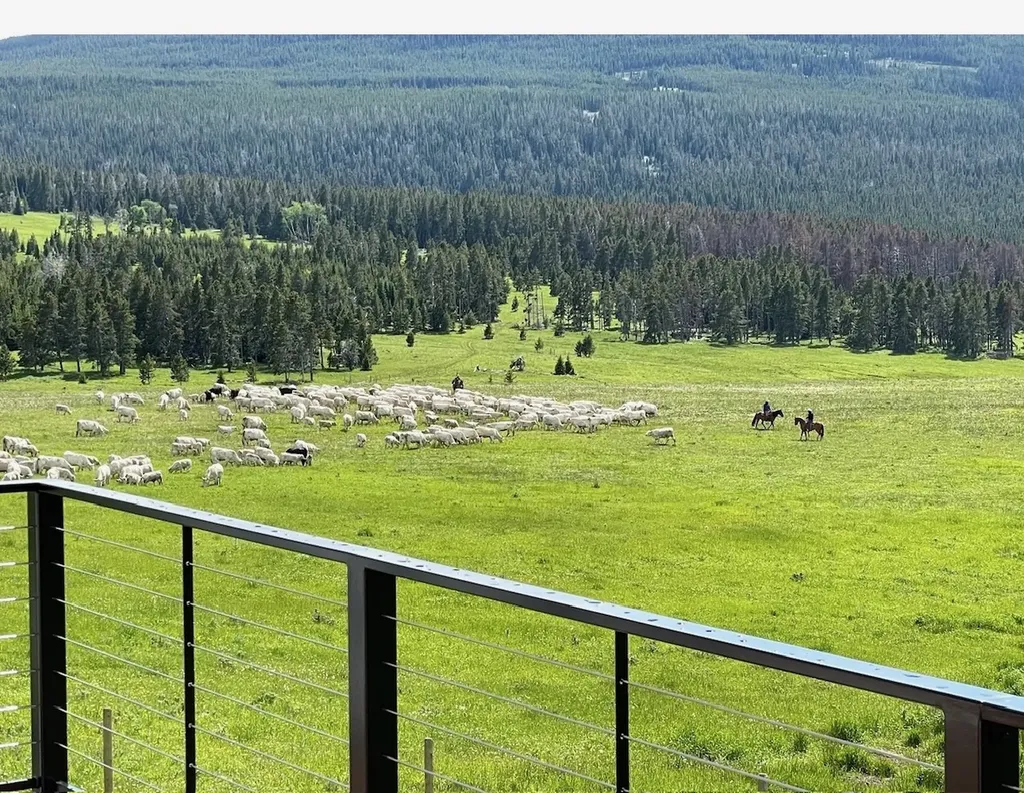 704 Belt Park Road Monarch MT 59463