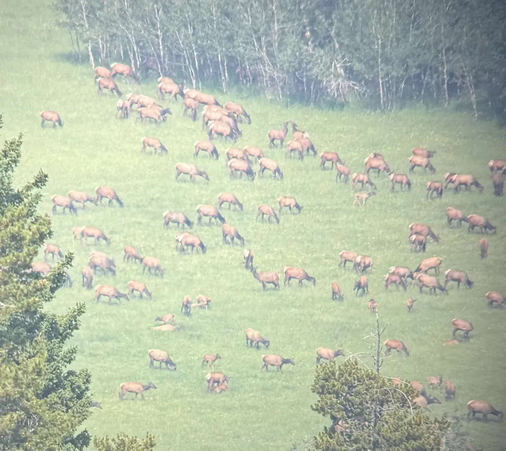 704 Belt Park Road Monarch MT 59463