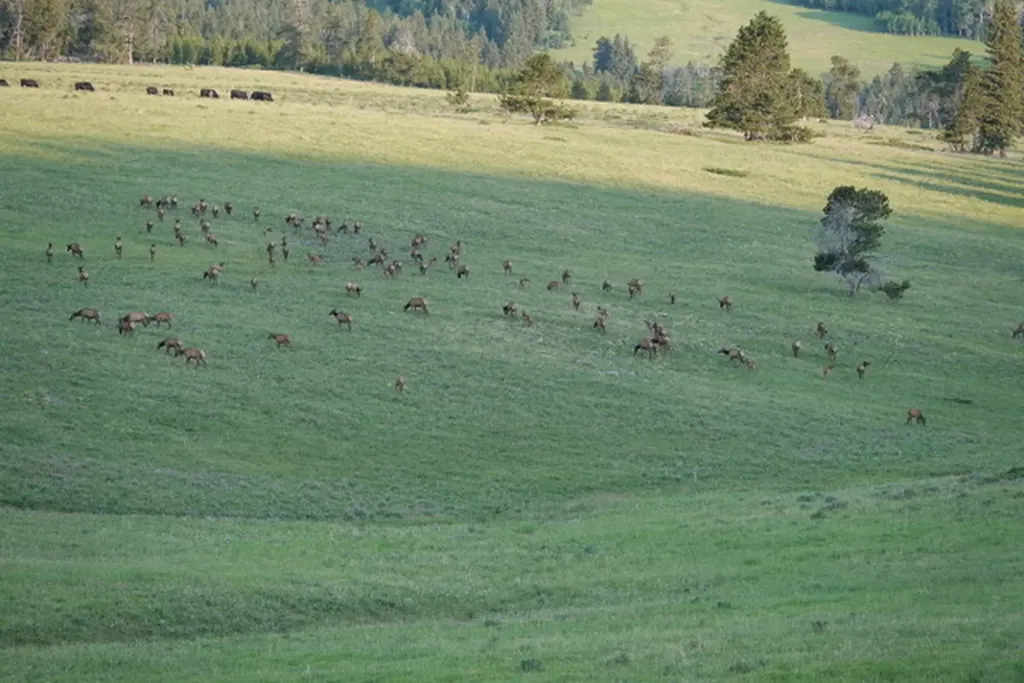 704 Belt Park Road Monarch MT 59463