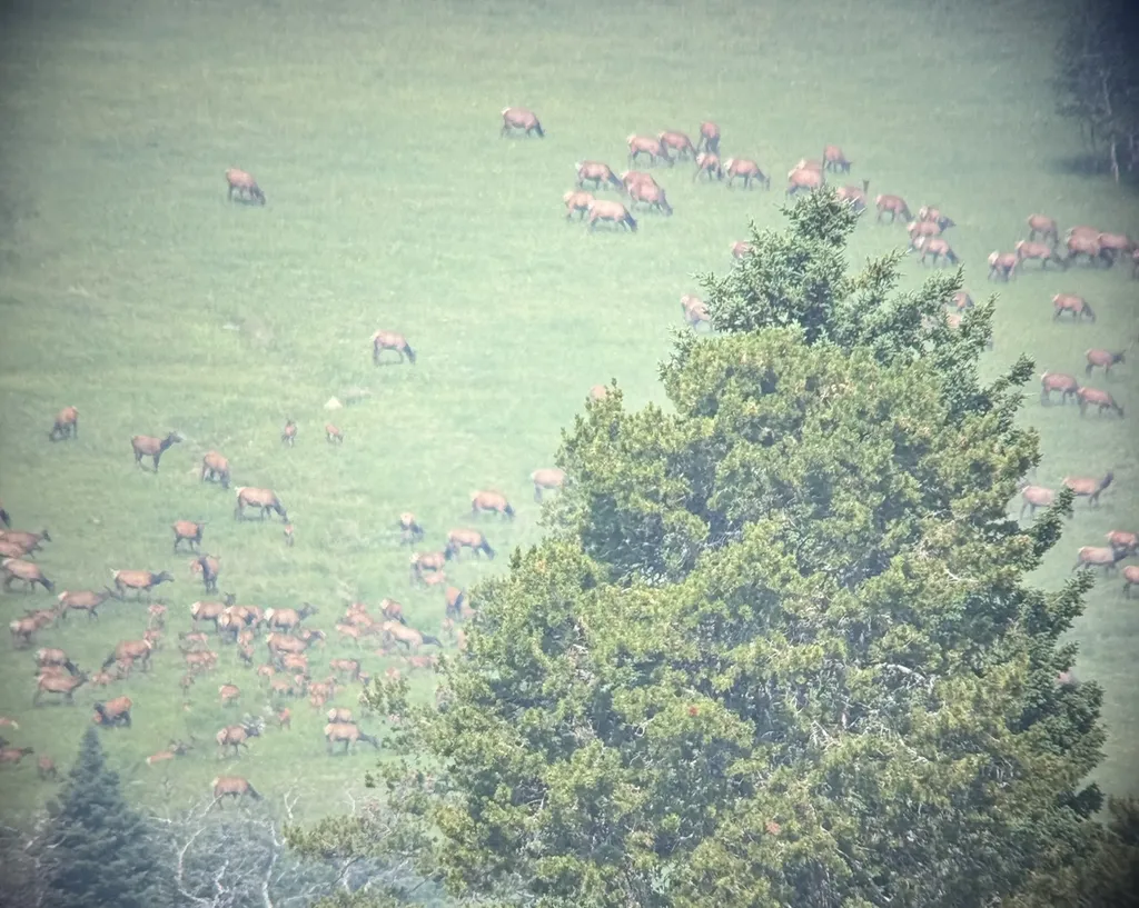 704 Belt Park Road Monarch MT 59463