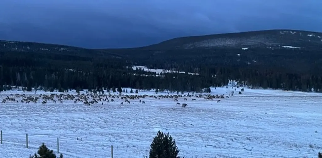 704 Belt Park Road Monarch MT 59463