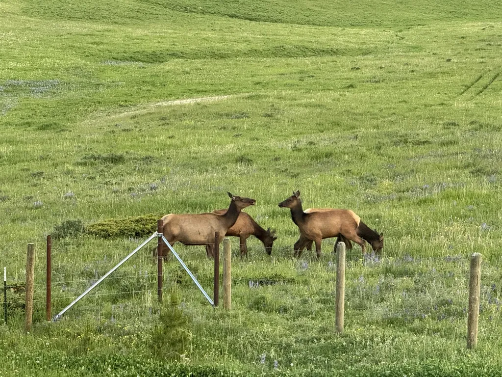 704 Belt Park Road Monarch MT 59463