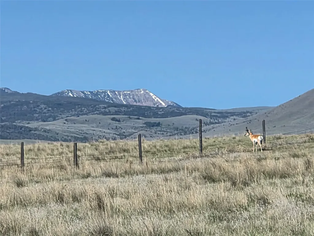 60 Acres Raghorn Court Ennis MT 59729