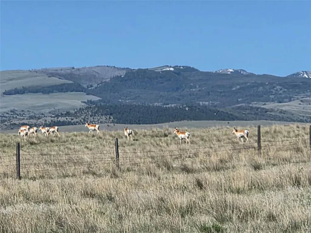 60 Acres Raghorn Court Ennis MT 59729