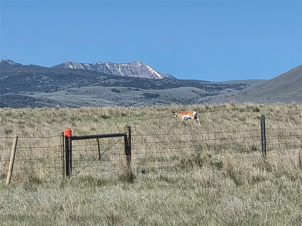60 Acres Raghorn Court Ennis MT 59729