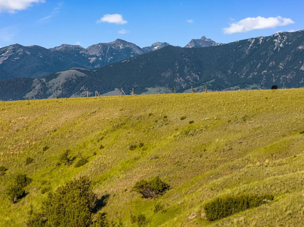 60 Acres Raghorn Court Ennis MT 59729