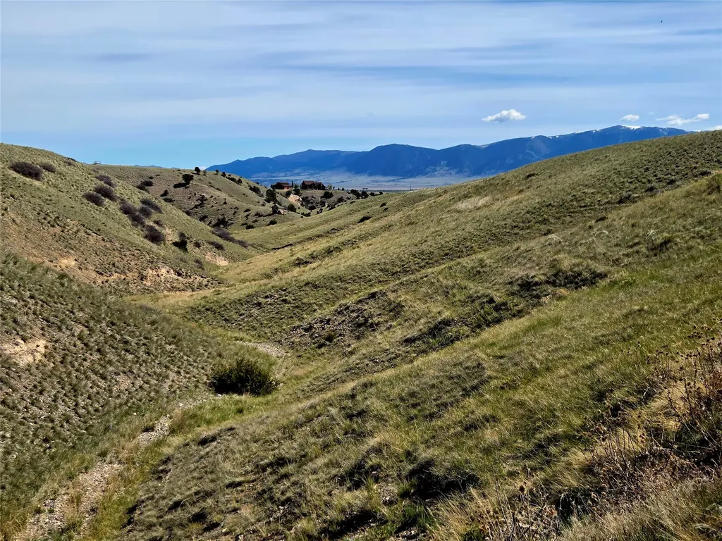 60 Acres Raghorn Court Ennis MT 59729