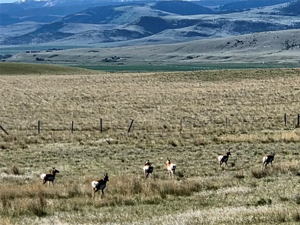 60 Acres Raghorn Court Ennis MT 59729