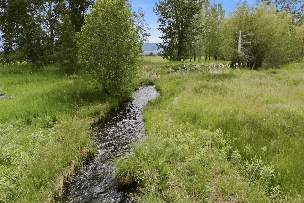 586 Cash Nichols Road Stevensville MT 59870