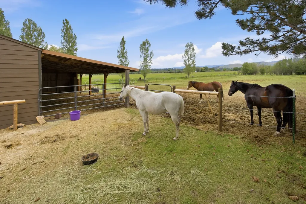 586 Cash Nichols Road Stevensville MT 59870