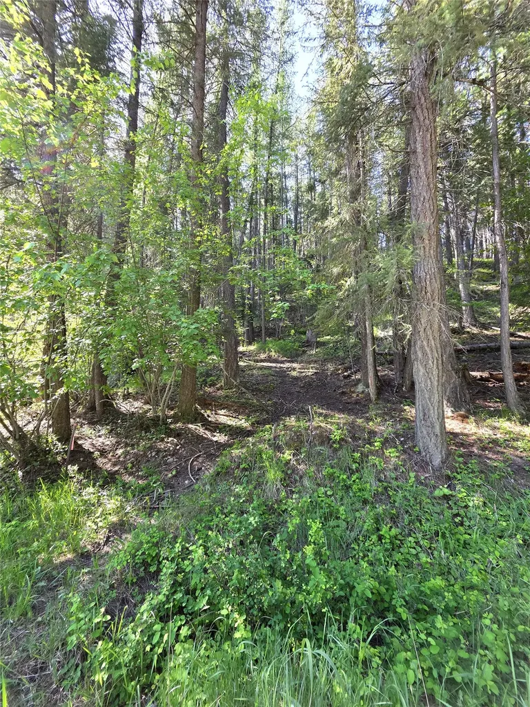 255 W Cedar Street Libby MT 59923