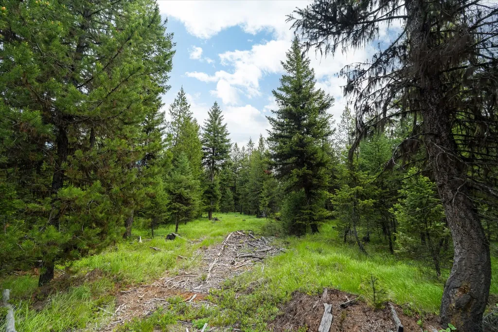 73 Loon Connector Road Libby MT 59923