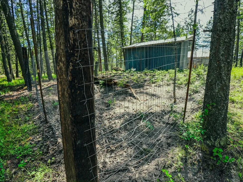 558 Bald Rock Road Kalispell MT 59901