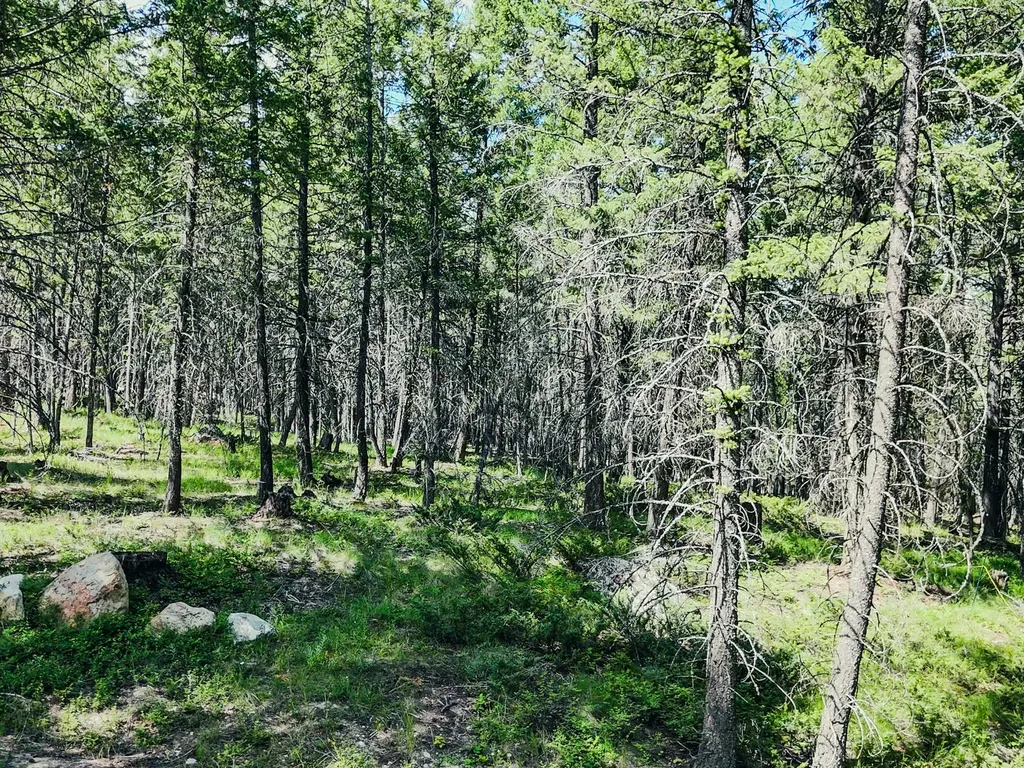 558 Bald Rock Road Kalispell MT 59901