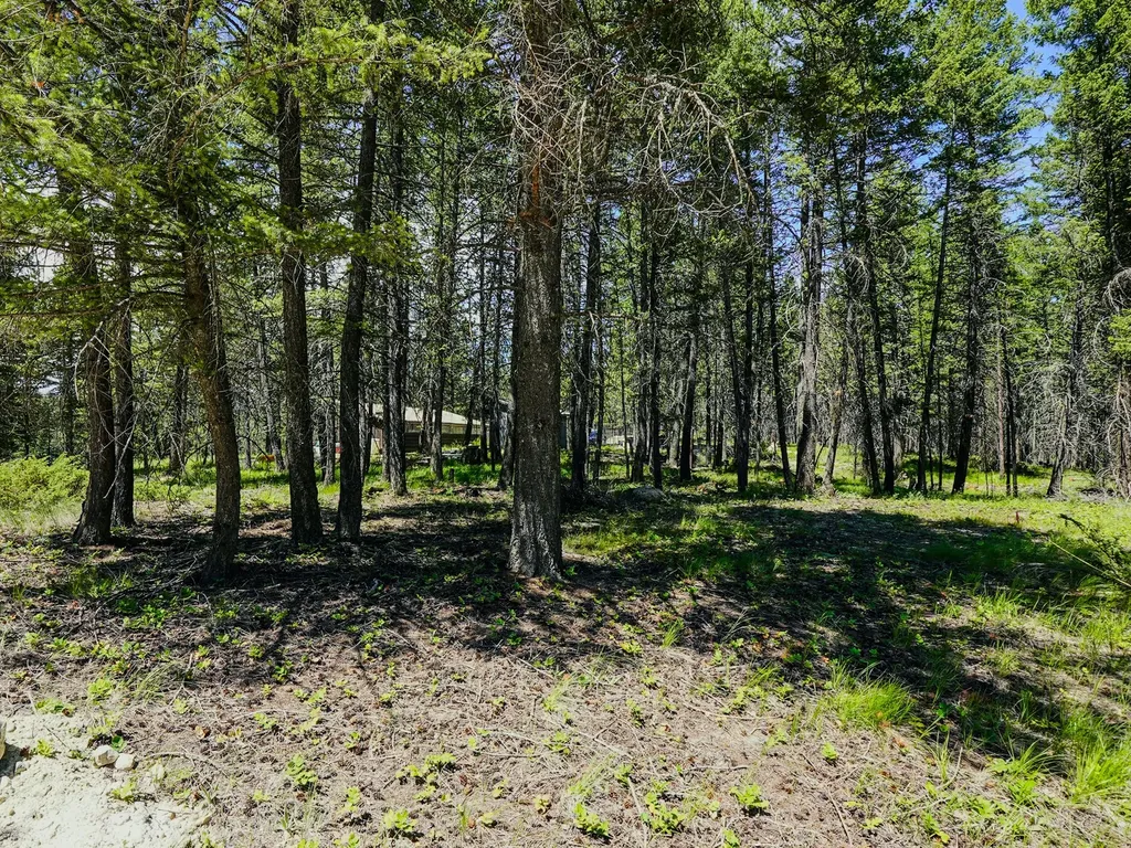 558 Bald Rock Road Kalispell MT 59901