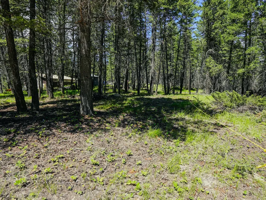 558 Bald Rock Road Kalispell MT 59901