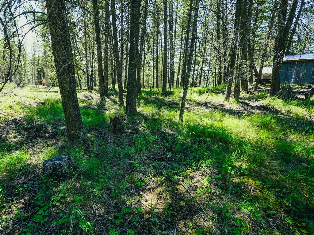 558 Bald Rock Road Kalispell MT 59901
