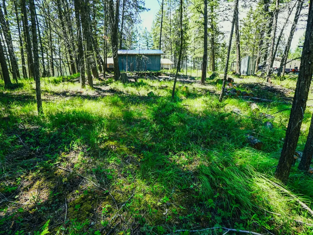 558 Bald Rock Road Kalispell MT 59901