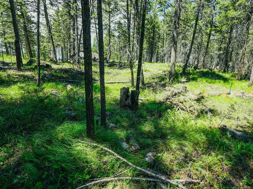 558 Bald Rock Road Kalispell MT 59901