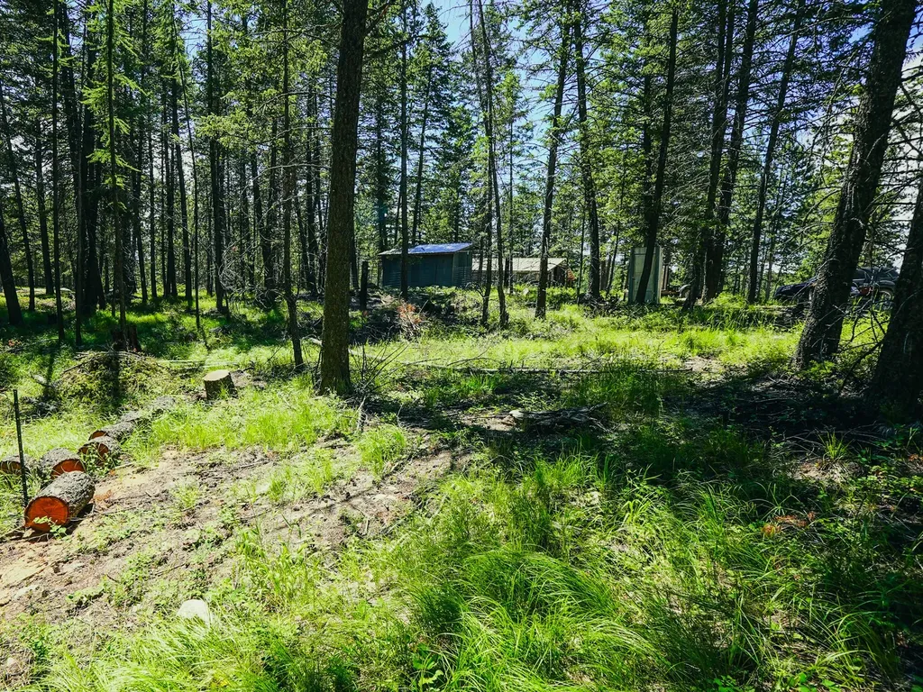 558 Bald Rock Road Kalispell MT 59901