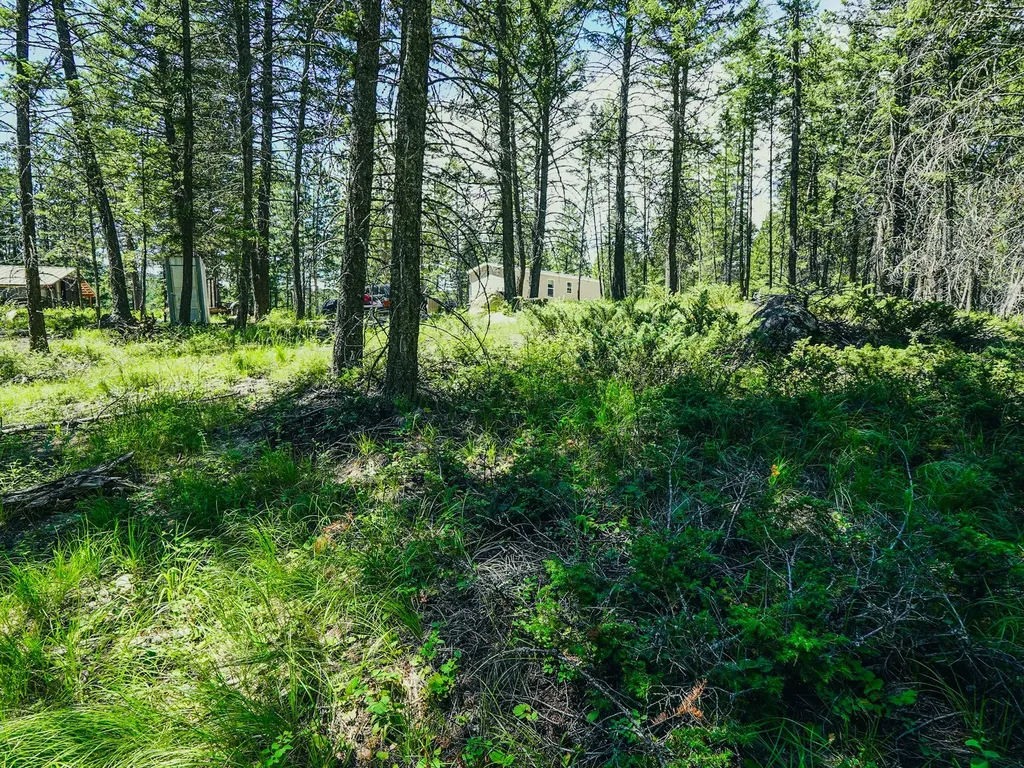 558 Bald Rock Road Kalispell MT 59901