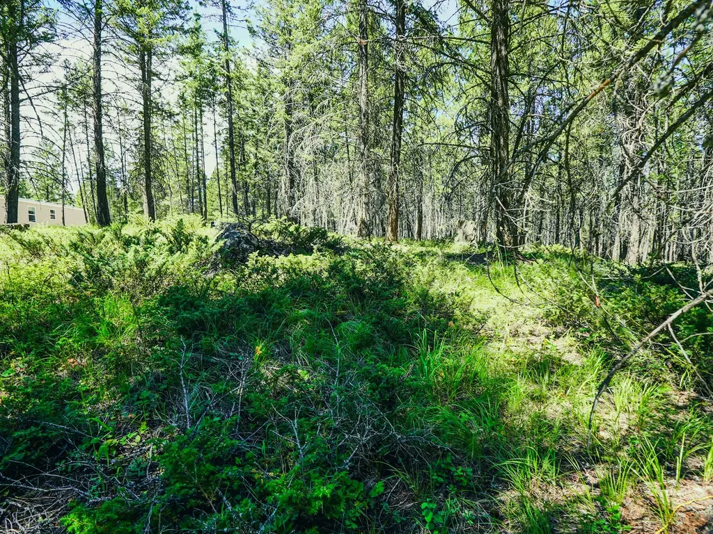 558 Bald Rock Road Kalispell MT 59901