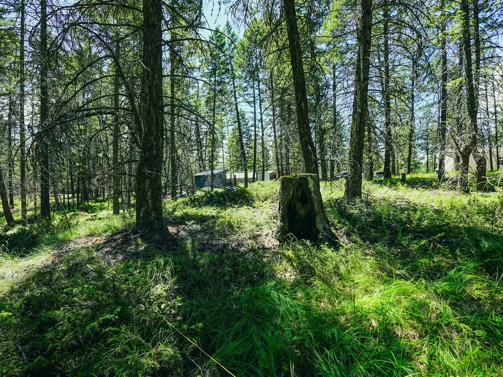 558 Bald Rock Road Kalispell MT 59901