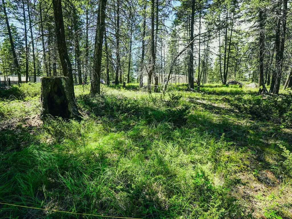 558 Bald Rock Road Kalispell MT 59901