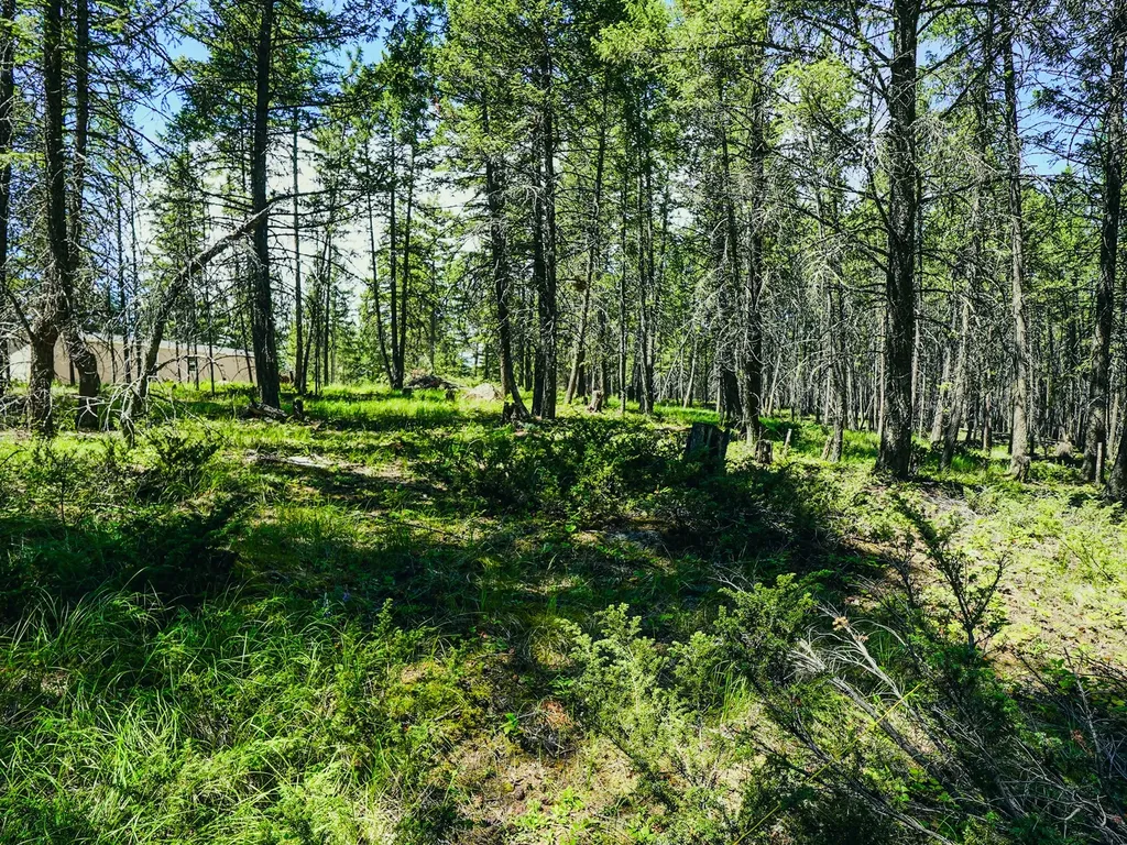 558 Bald Rock Road Kalispell MT 59901