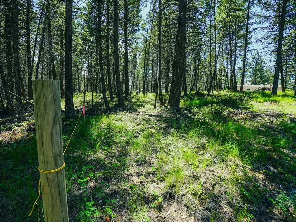 558 Bald Rock Road Kalispell MT 59901