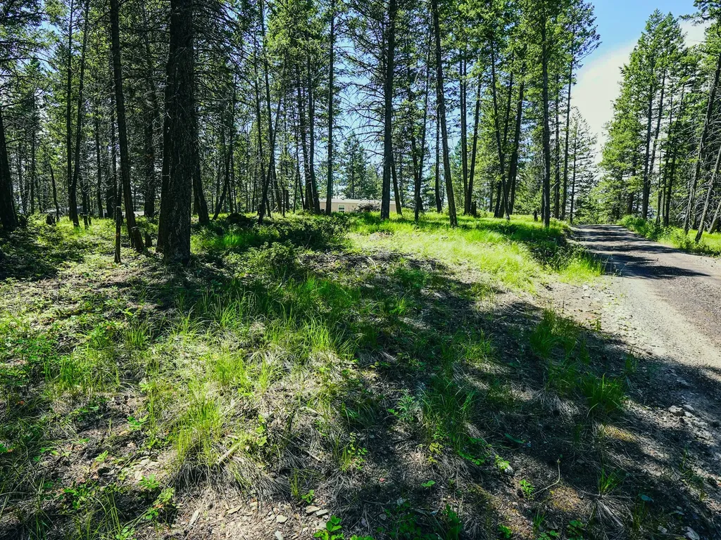 558 Bald Rock Road Kalispell MT 59901