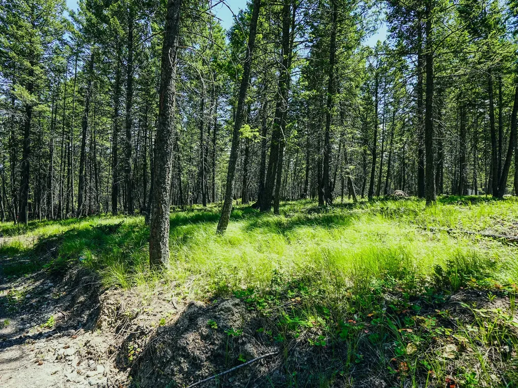 558 Bald Rock Road Kalispell MT 59901