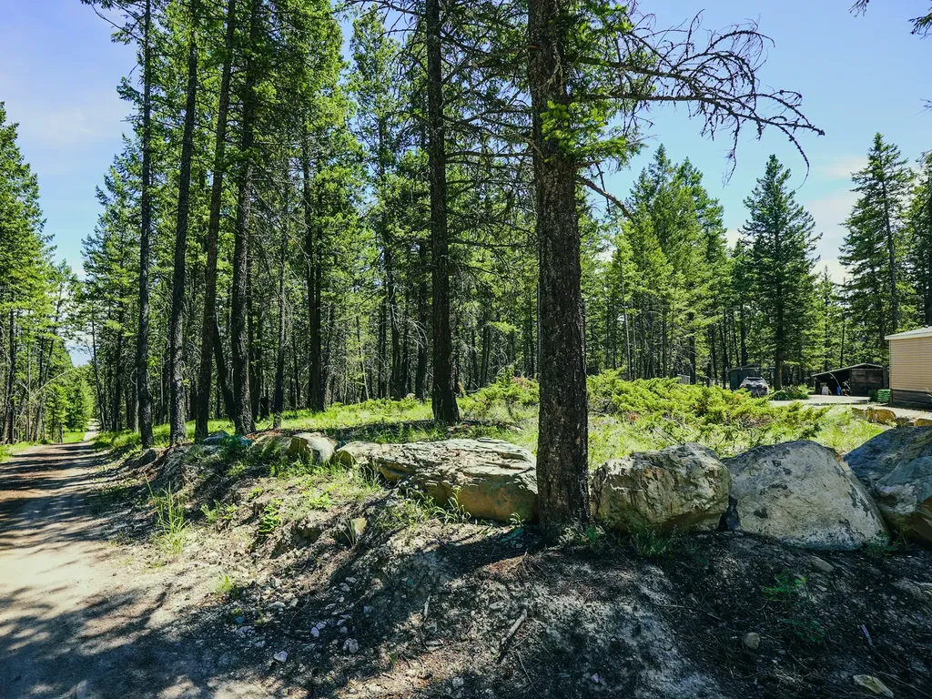 558 Bald Rock Road Kalispell MT 59901