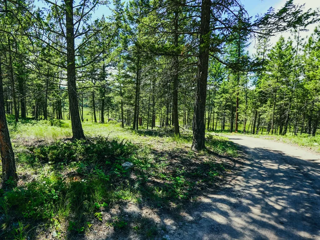 558 Bald Rock Road Kalispell MT 59901
