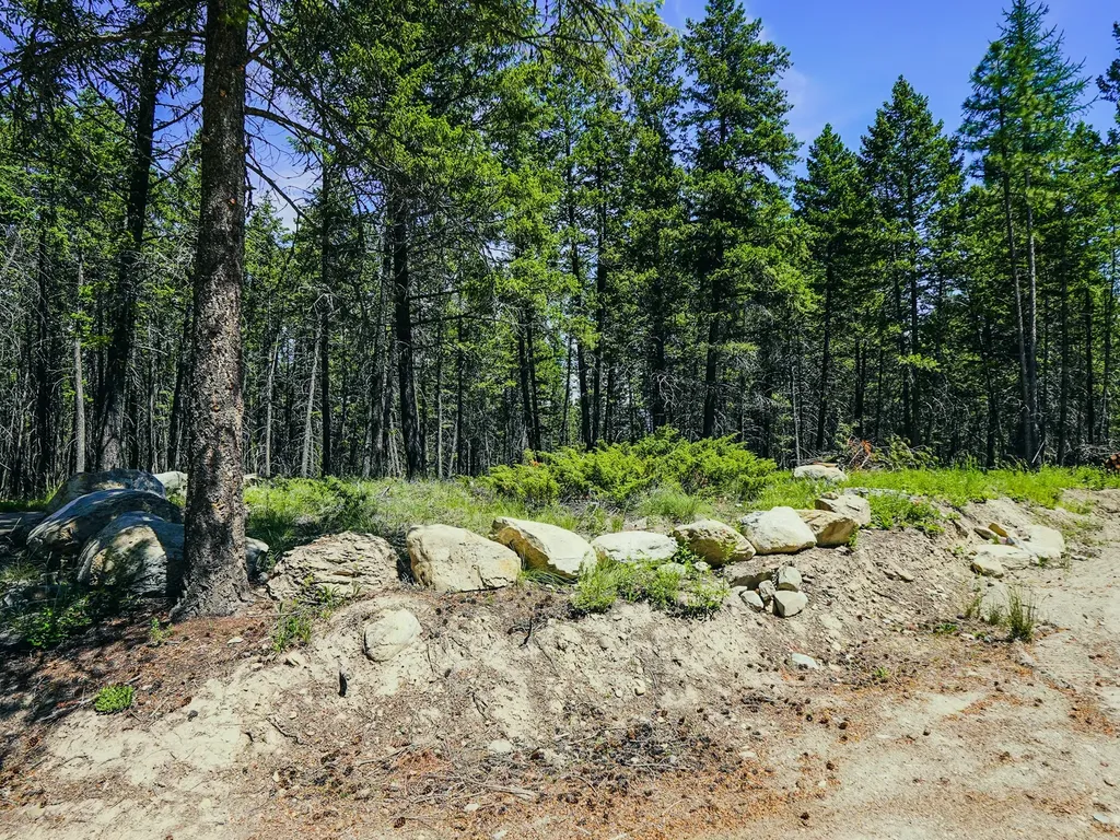 558 Bald Rock Road Kalispell MT 59901