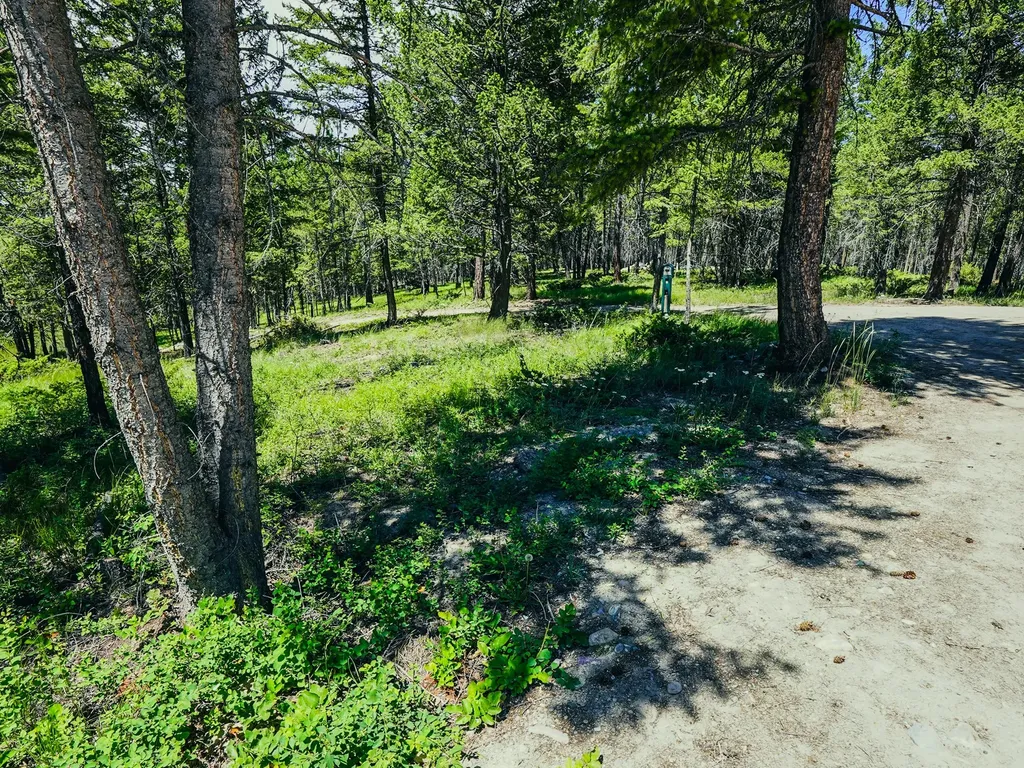558 Bald Rock Road Kalispell MT 59901
