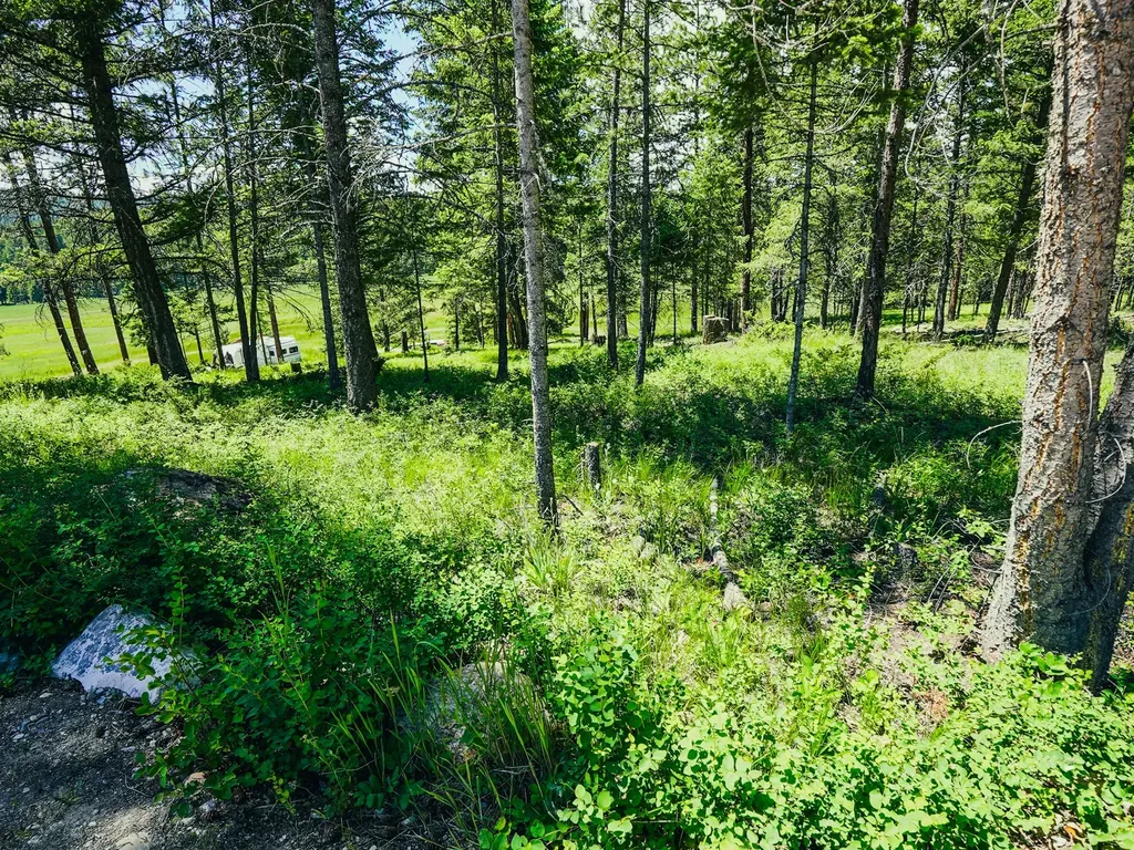 558 Bald Rock Road Kalispell MT 59901