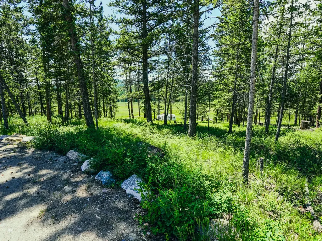558 Bald Rock Road Kalispell MT 59901