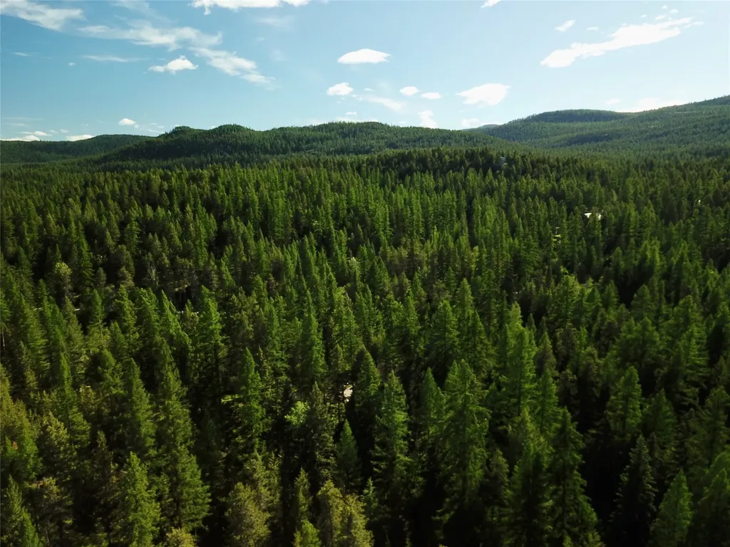470 Bootjack Lake Road Whitefish MT 59937