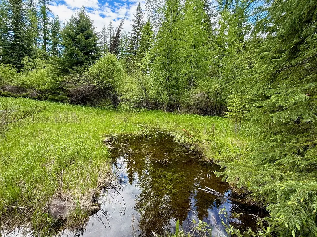 470 Bootjack Lake Road Whitefish MT 59937