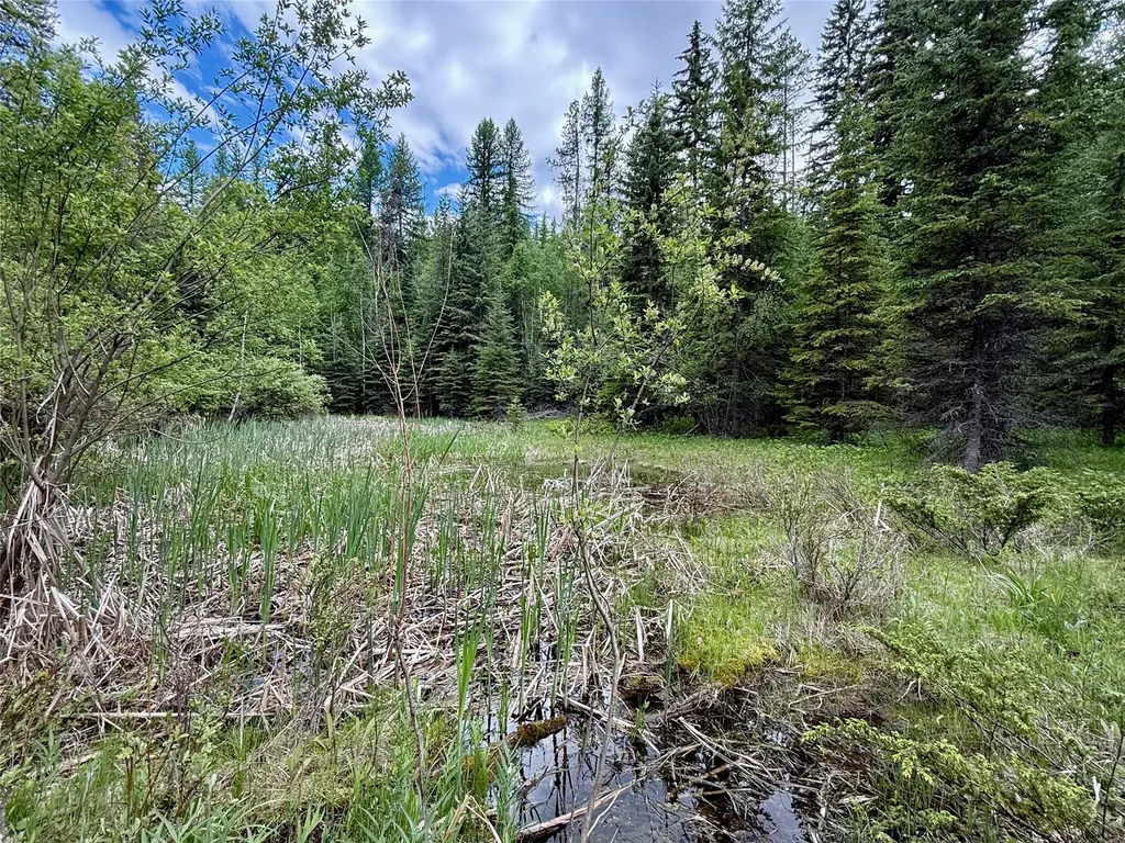 470 Bootjack Lake Road Whitefish MT 59937