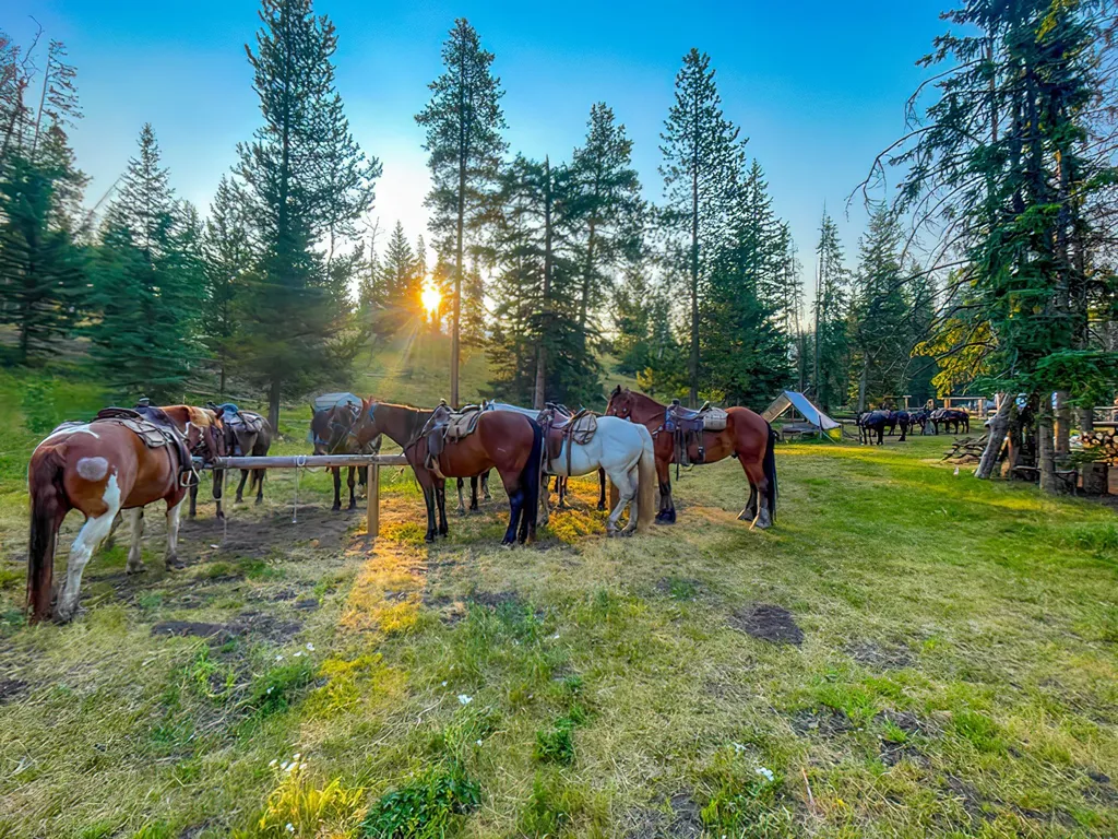 8571 Sun Canyon Lodge Road Augusta MT 59410